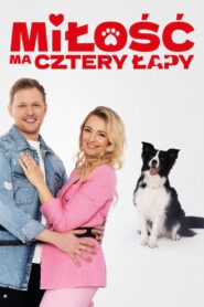 Miłość ma cztery łapy